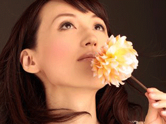 softwind���C�u�\��(2013/05/26)