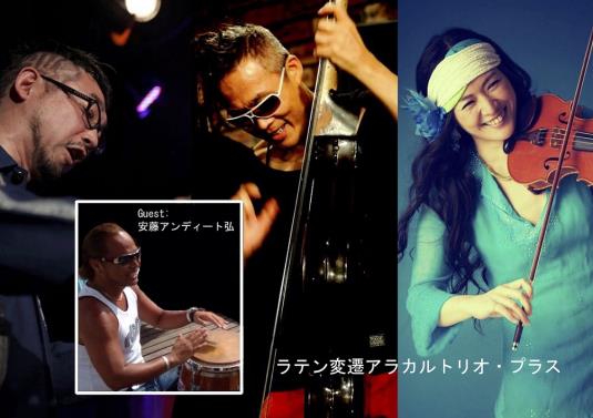 ライブ居酒屋　キンのツボライブ予定