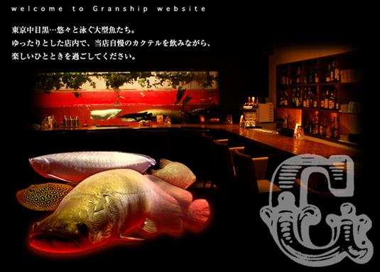 aqua lounge GranShip