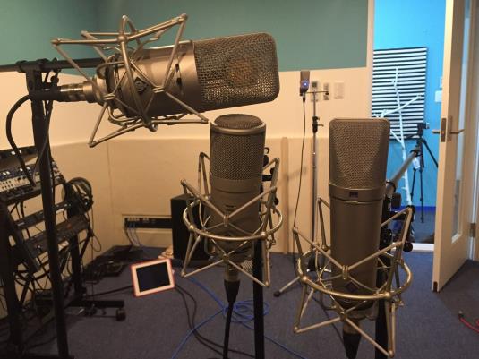 R microphone office