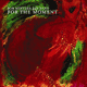 FOR THE MOMENT - BOB MINTZER BIG BAND