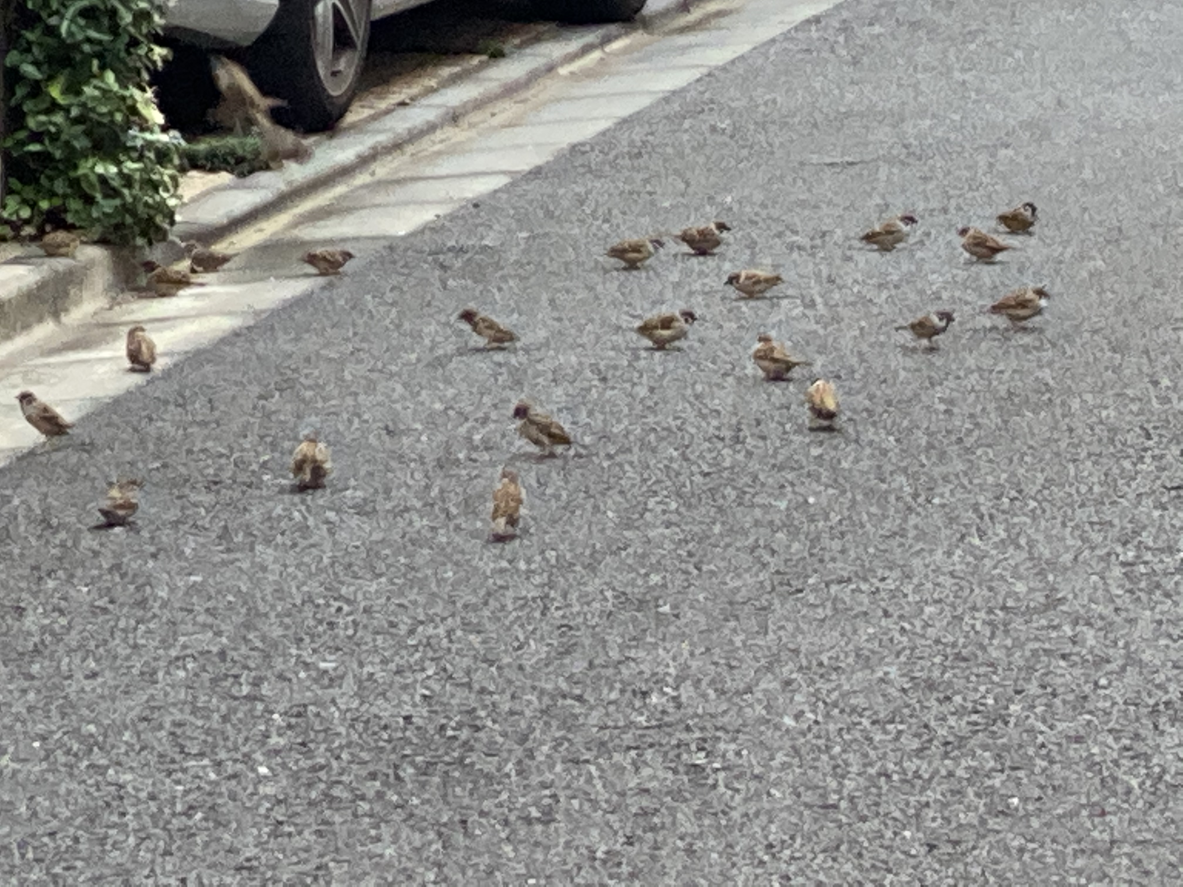 䌴 